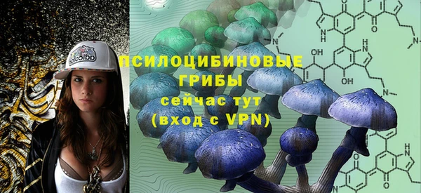 стафф Абаза