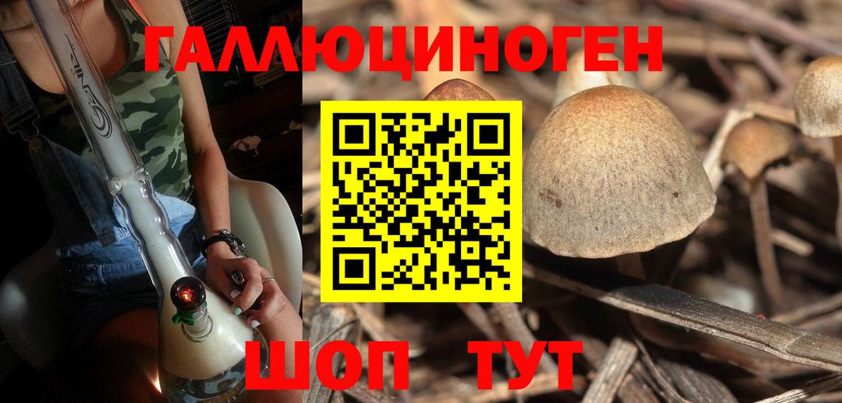 Раменское  Галлюциногенные грибы ЛСД  Вход с VPN  Псилоцибиновые грибы Psilocybine cubensis 