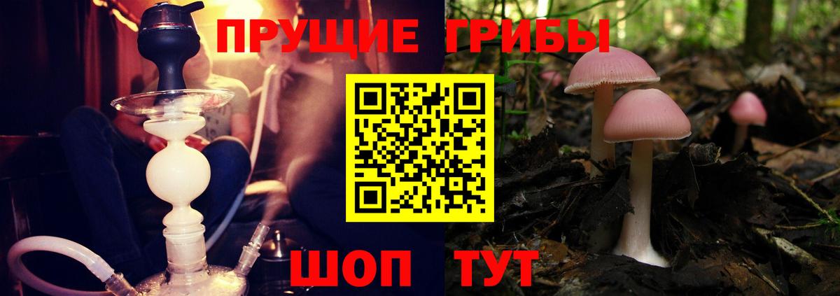 Галлюциногенные грибы Psilocybine cubensis Раменское